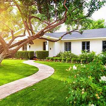 Landscaping Services